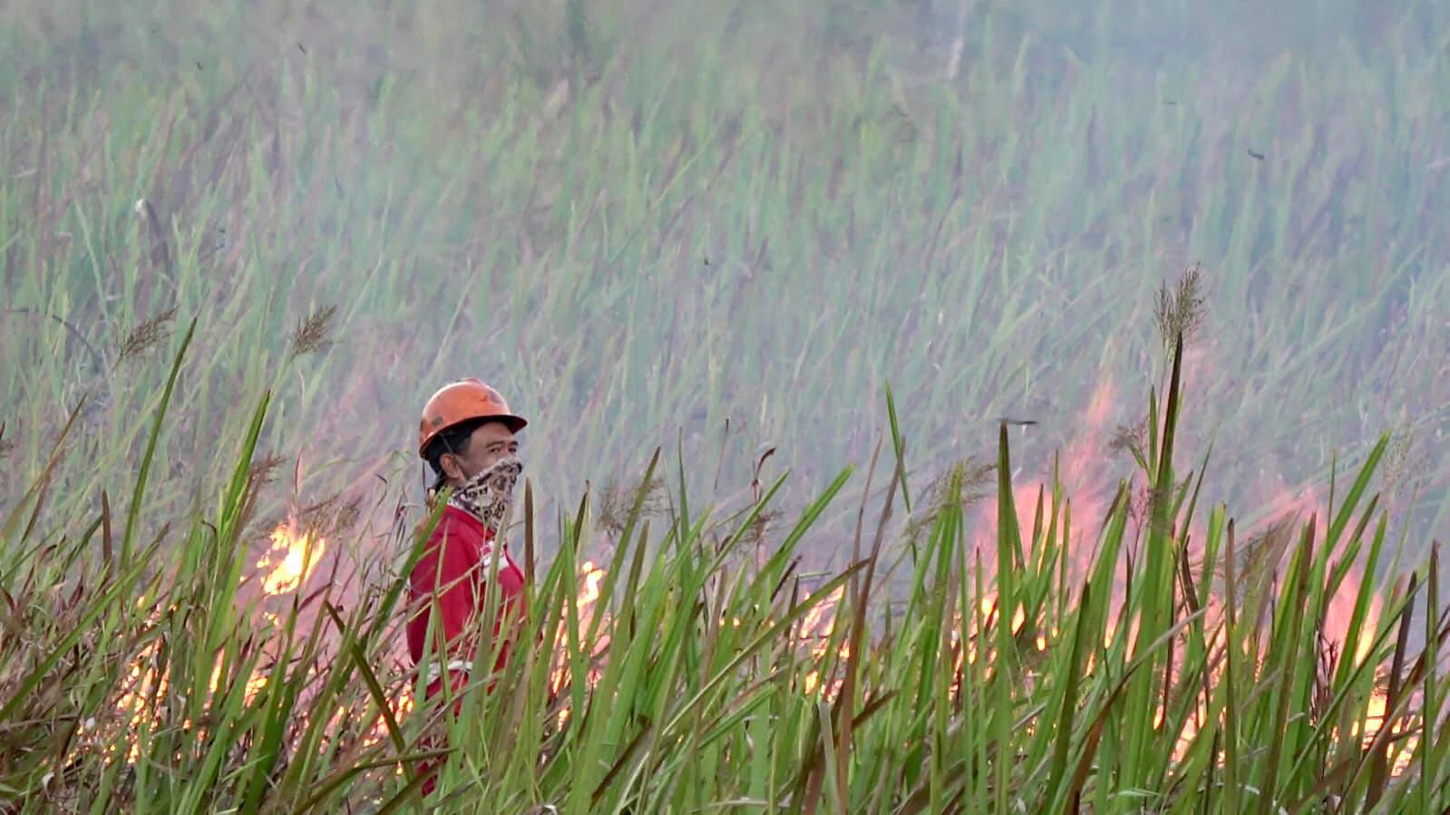 Karhutla Kembali Terjadi di Ogan Ilir, Tim Patroli Fokus Lakukan Pemadaman Darat