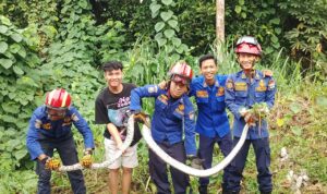 IMG 20250814 WA0355