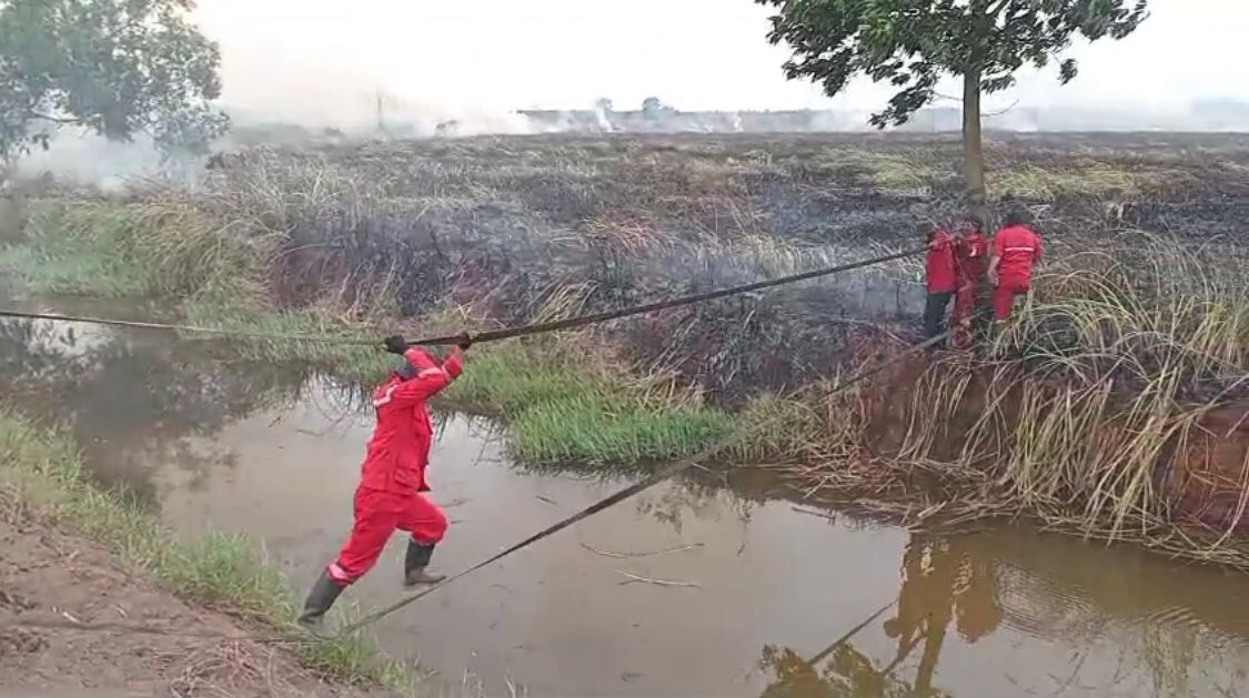 Ogan Ilir dan Musi Banyuasin Masuk Zona Merah Karhutla, Kasus Meningkat di Sumsel