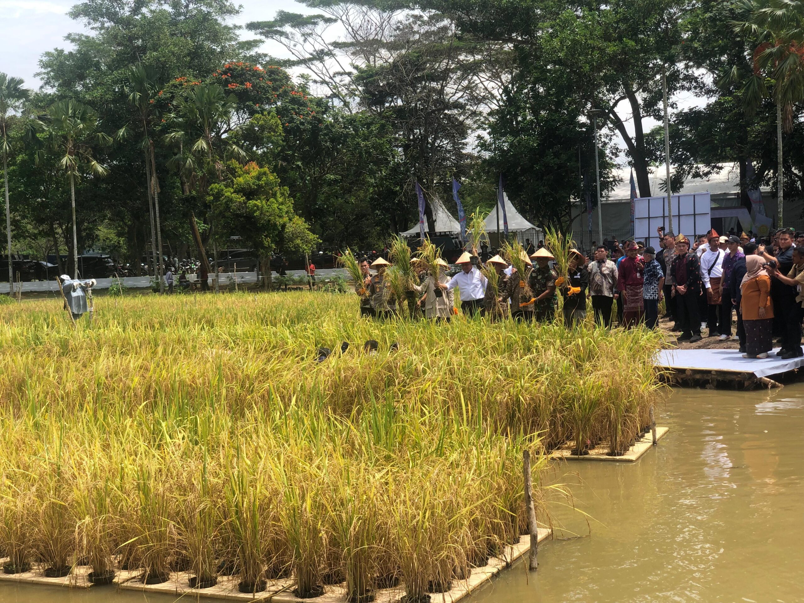 GPTPN X Digelar di Sumsel, Kenalkan Teknologi Padi Apung