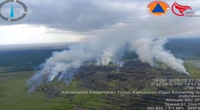 5 Hektre Lahan Cetak Sawah Baru di OKI Terbakar
