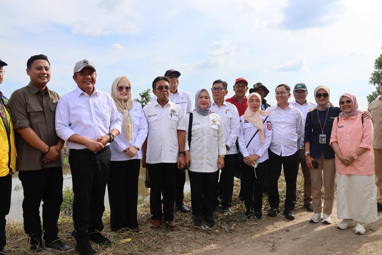 Produksi Gabah Sumsel Tembus 3,5 Juta Ton, Naik 700 Ribu Ton