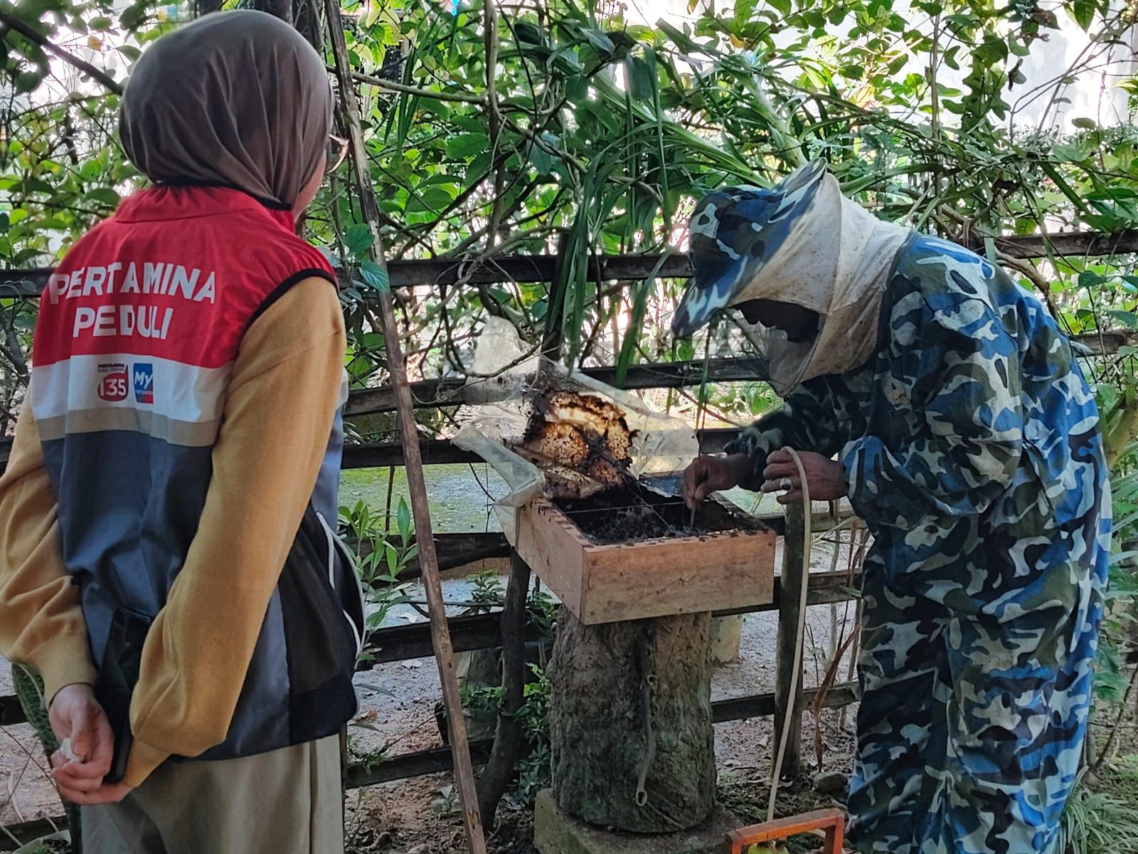 Pertamina Patra Niaga Regional Sumbagsel Dorong Kemandirian Ekonomi Hijau Lewat Budidaya Lebah Trigona di Desa Tanjung Dalam