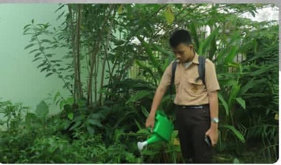 Kader Adiwiyata MAN 1 Jaga Kesuburan Tanaman di Apotek Hidup