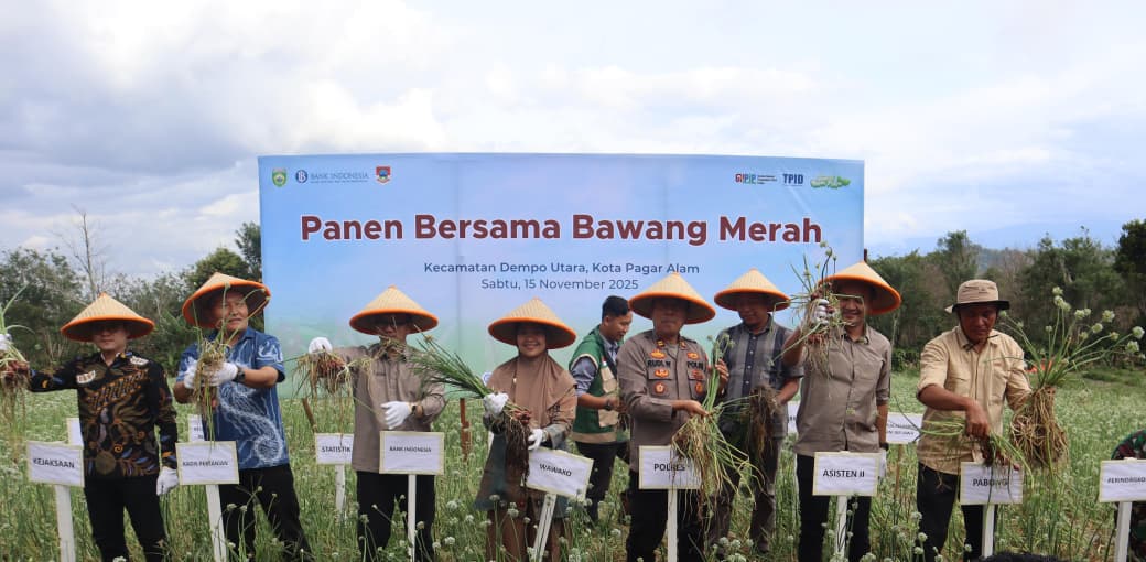 Sinergi BI dan Pemkot Pagar Alam Dorong Produktivitas Bawang Merah, Panen Perdana Capai Hasil Memuaskan