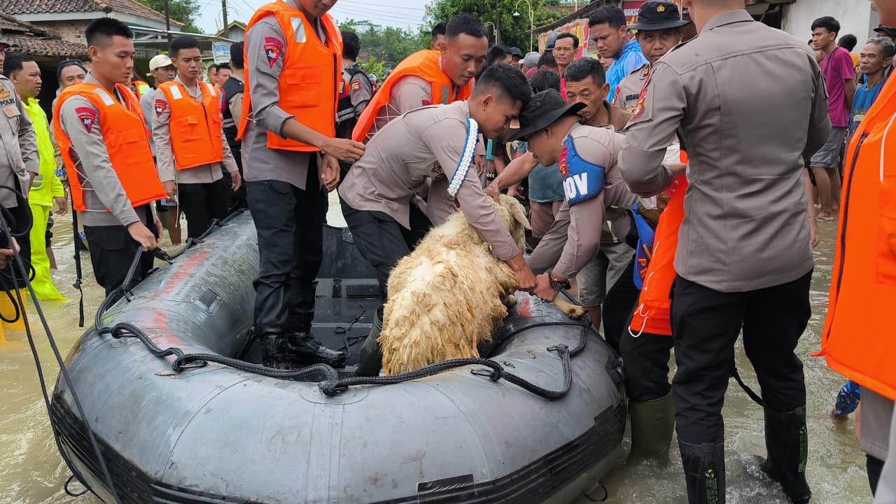 Penyaluran bantuan kebutuhan pokok korban terdampak banjir di OKU Timur. 