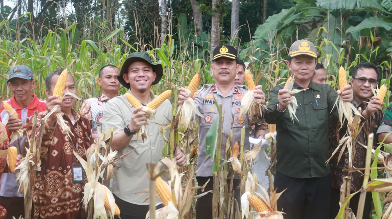 Pemkab Muba Bersama TNI–Polri Dukung Swasembada Pangan 2026, Panen Raya Jagung Serentak Digelar di Lawang Wetan