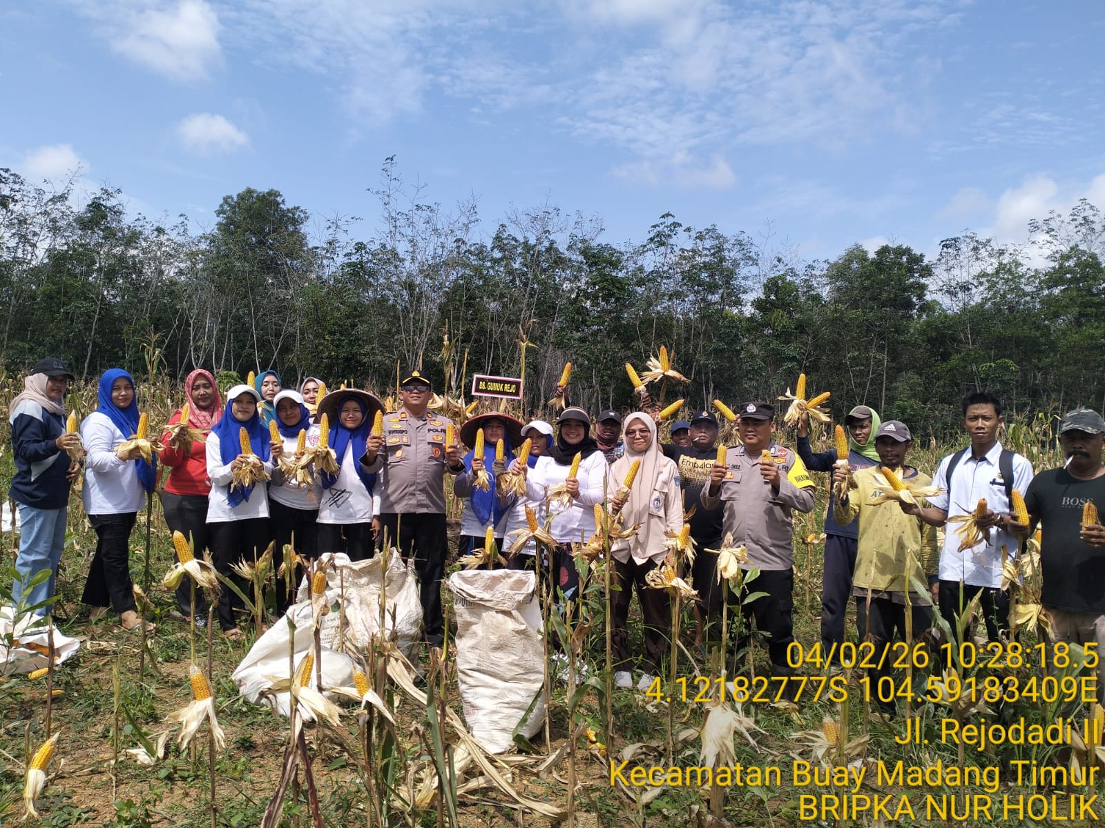Dukung Ketahanan Pangan, Petani Binaan Polsek BMT Panen Jagung