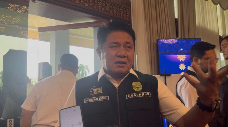 Gubernur Sumsel Herman Deru. Foto: Tia