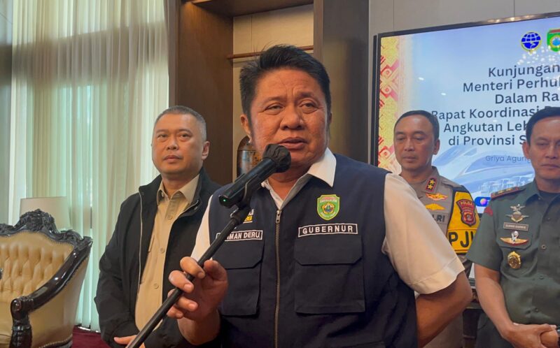 Gubernur Sumsel, Herman Deru. Foto: Tia