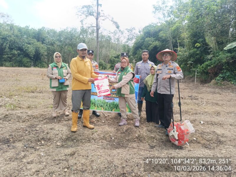 Polsek Buay Madang Timur hadir langsung di tengah masyarakat Desa Kedung Rejo untuk mendampingi proses penanaman jagung hibrida kuartal I tahun 2026. 