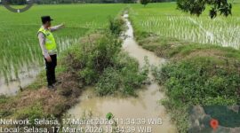 Personel Polsek Buay Madang Timur sedang melakukan monitoring langsung kondisi Sungai Macak di Desa Kumpul Rejo, OKU Timur. 