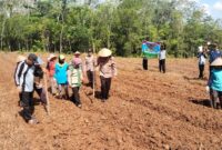 Kapolsek Buay Madang Timur IPTU Swisspo, bersama perangkat desa dan masyarakat melaksanakan penanaman jagung hibrida di Desa Sukoharjo. 