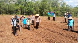Kapolsek Buay Madang Timur IPTU Swisspo, bersama perangkat desa dan masyarakat melaksanakan penanaman jagung hibrida di Desa Sukoharjo. 