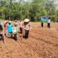 Kapolsek Buay Madang Timur IPTU Swisspo, bersama perangkat desa dan masyarakat melaksanakan penanaman jagung hibrida di Desa Sukoharjo. 