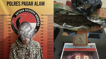Simpan 800 Gram Daun Kering Dibawah Meja Dapur, Seorang Kurir 20 Tahun Dibekuk Aparat