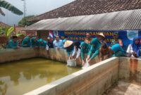 Ketua TP PKK OKU Timur, Sheila Noberta Lanosin (tengah), didampingi Kapolsek Buay Madang Timur IPTU Swisspo, saat melakukan penaburan bibit ikan patin secara simbolis di Desa Sumber Harjo. 