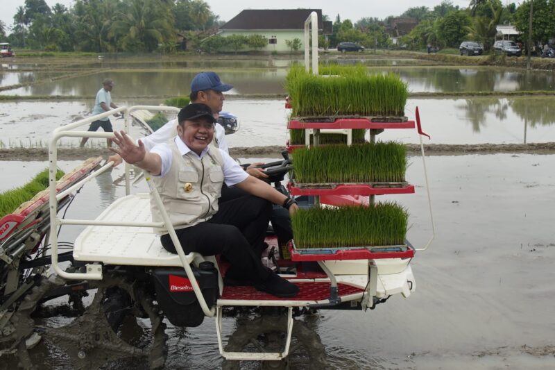 Menghadapi potensi dampak El Nino, Gubernur Sumsel Herman Deru bersama Wamen Pertanian Sudaryono melakukan percepatan tanam padi di Desa Sidomakmur, Belitang, OKU Timur.