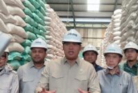 Wamentan Sudaryono usai melakukan pengecekan langsung stok beras di Gudang Bulog Sukamaju, Kota Palembang, Kamis (23/4/2026). Foto : Reza