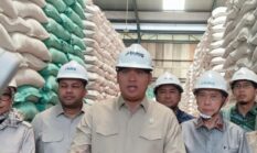 Stok Beras Tembus 5,1 Juta Ton, Gudang Bulog Mulai Penuh; Pemerintah Akui Tantangan Kini Jaga Kualitas