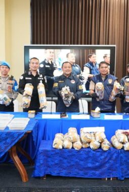 Polda Sumsel Bongkar Sindikat Ladang Ganja 20 Hektar di Empat Lawang, 220 Kg Ganja Disita