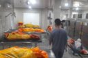 Seluruh jasad korban saat dievakuasi ke RS Bhayangkara Moh Hasan Palembang.