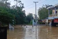 Banjir rendam puluhan ribu rumah di Muratara. Foto: BPBD Muratara.
