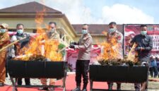 Kapolda Sumsel memimpin langsung pemusnahan 200 kg ganda di Satresnarkoba Polres Empat Lawang. Foto: dokumen polisi.