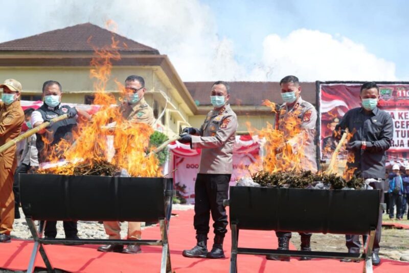 Kapolda Sumsel memimpin langsung pemusnahan 200 kg ganda di Satresnarkoba Polres Empat Lawang. Foto: dokumen polisi.