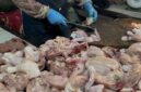 Ayam yang dijual pedagang di Pasar KM 5 Palembang. Foto: Tia