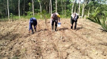 Anggota Bhabinkamtibmas Polsek Buay Madang Timur Bripka Nur Holik (tengah) bersama warga menanam benih jagung hibrida saat peluncuran program
