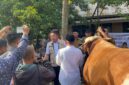 Gubernur Sumatera Selatan, Herman Deru menyerahkan sapi kurban bernama “Arjuna” bantuan Presiden Republik Indonesia Prabowo Subianto kepada pengurus Masjid Taqwa Palembang, Selasa (26/5/2026). Foto: (Tia)