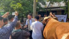 Gubernur Sumatera Selatan, Herman Deru menyerahkan sapi kurban bernama “Arjuna” bantuan Presiden Republik Indonesia Prabowo Subianto kepada pengurus Masjid Taqwa Palembang, Selasa (26/5/2026). Foto: (Tia)
