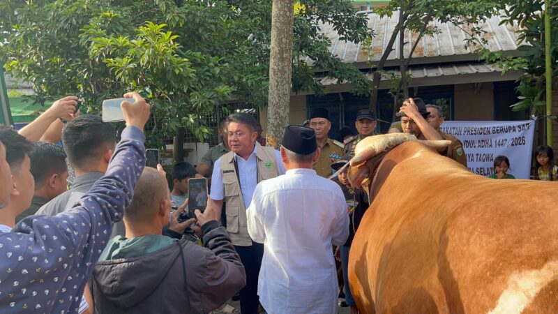 Gubernur Sumatera Selatan, Herman Deru menyerahkan sapi kurban bernama “Arjuna” bantuan Presiden Republik Indonesia Prabowo Subianto kepada pengurus Masjid Taqwa Palembang, Selasa (26/5/2026). Foto: (Tia)