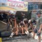 Warga Sidokaton Plaju Palembang, Gunakan Alat Perebah saat Penyembelihan Hewan Qurban