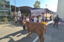 [27/5 17.56] +62 813-6943-7086: Foto : Pelaksana pemotongan hewan qurban di Polres OKI.
[28/5 10.47] SP Hermansyah: Momentum Iduladha 1447 H menjadi wujud nyata semangat berbagi dan kepedulian. Kejaksaan Negeri Palembang melaksanakan kegiatan pemotongan hewan kurban sebagai bentuk pengabdian dan kebersamaan untuk masyarakat