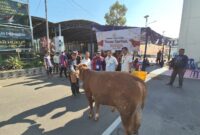[27/5 17.56] +62 813-6943-7086: Foto : Pelaksana pemotongan hewan qurban di Polres OKI.
[28/5 10.47] SP Hermansyah: Momentum Iduladha 1447 H menjadi wujud nyata semangat berbagi dan kepedulian. Kejaksaan Negeri Palembang melaksanakan kegiatan pemotongan hewan kurban sebagai bentuk pengabdian dan kebersamaan untuk masyarakat