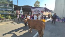 [27/5 17.56] +62 813-6943-7086: Foto : Pelaksana pemotongan hewan qurban di Polres OKI.
[28/5 10.47] SP Hermansyah: Momentum Iduladha 1447 H menjadi wujud nyata semangat berbagi dan kepedulian. Kejaksaan Negeri Palembang melaksanakan kegiatan pemotongan hewan kurban sebagai bentuk pengabdian dan kebersamaan untuk masyarakat