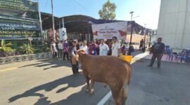[27/5 17.56] +62 813-6943-7086: Foto : Pelaksana pemotongan hewan qurban di Polres OKI.
[28/5 10.47] SP Hermansyah: Momentum Iduladha 1447 H menjadi wujud nyata semangat berbagi dan kepedulian. Kejaksaan Negeri Palembang melaksanakan kegiatan pemotongan hewan kurban sebagai bentuk pengabdian dan kebersamaan untuk masyarakat