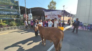 [27/5 17.56] +62 813-6943-7086: Foto : Pelaksana pemotongan hewan qurban di Polres OKI.
[28/5 10.47] SP Hermansyah: Momentum Iduladha 1447 H menjadi wujud nyata semangat berbagi dan kepedulian. Kejaksaan Negeri Palembang melaksanakan kegiatan pemotongan hewan kurban sebagai bentuk pengabdian dan kebersamaan untuk masyarakat