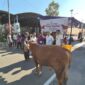 [27/5 17.56] +62 813-6943-7086: Foto : Pelaksana pemotongan hewan qurban di Polres OKI.
[28/5 10.47] SP Hermansyah: Momentum Iduladha 1447 H menjadi wujud nyata semangat berbagi dan kepedulian. Kejaksaan Negeri Palembang melaksanakan kegiatan pemotongan hewan kurban sebagai bentuk pengabdian dan kebersamaan untuk masyarakat
