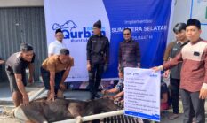 Semangat Berbagi di Momentum Idul Adha, BRI Region 4 Palembang Distribusikan 45 Hewan Kurban di Sumsel, Jambi, dan Kepulauan Bangka
