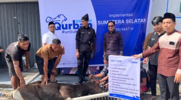 Semangat Berbagi di Momentum Idul Adha, BRI Region 4 Palembang Distribusikan 45 Hewan Kurban di Sumsel, Jambi, dan Kepulauan Bangka