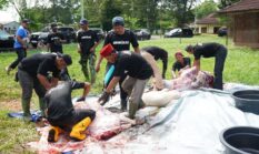 Pertamina Patra Niaga Regional Sumbagsel Salurkan 56 Sapi dan 29 Kambing pada Iduladha 1447 H