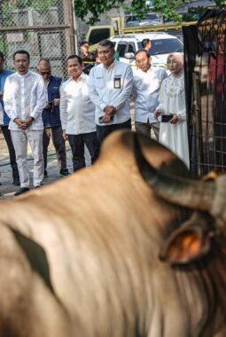 Pertamina Patra Niaga Perkuat Semangat Berbagi melalui 2.031 Hewan Kurban pada Momentum Iduladha 1447 H