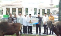 Iduladha 1447 H Bank Sumsel Babel distribusikan Bantuan Hewan Kurban ke Masyarakat Sumsel dan Babel
