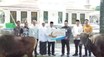 Iduladha 1447 H Bank Sumsel Babel distribusikan Bantuan Hewan Kurban ke Masyarakat Sumsel dan Babel