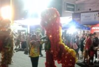 Pertunjukan Barongsai memeriahkan pelaksanaan Car Free Night (CFN) di Jalan Kolonel Atmo, Palembang, Sabtu (30/5/2026) malam.
