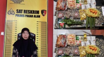 fhoto (istimewa) : tersangka pns pagar alam yang terekam cctv mencuri sayur dan beberapa barang dagangan pasar modern
