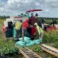 Arsip - Petani di Desa Makmur Kecamatan Lalan saat sedang mengumpulkan hasil panen gabah. Foto: Tia 